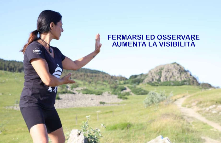 disciplina arti interne